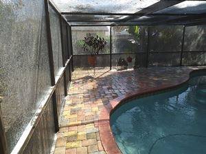 pool deck & enclosure cleaning-before-Palm Harbor