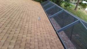 gutters cleaned oldsmar 