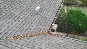 gutter cleaning safety harbor