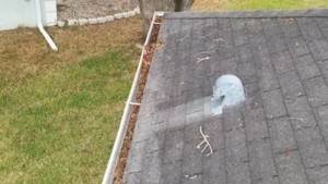 gutter cleaning tarpon springs