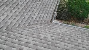 gutter cleaning safety harbor