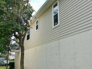 Low pressure cleaning tarpon springs