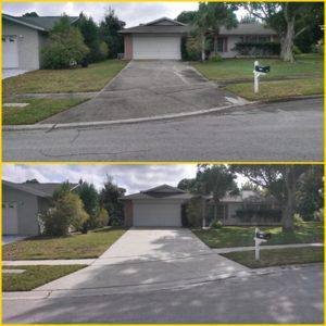 driveway pressure cleaned in Palm Harbor