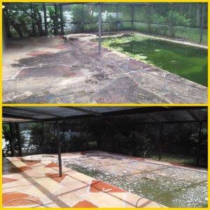 pool deck cleaning in tampa