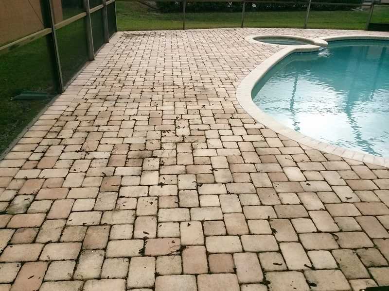 Dirty Pool Deck-Palm Harbor Fl