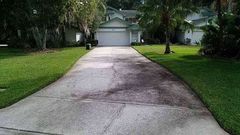 Dirty driveway in oldsmar