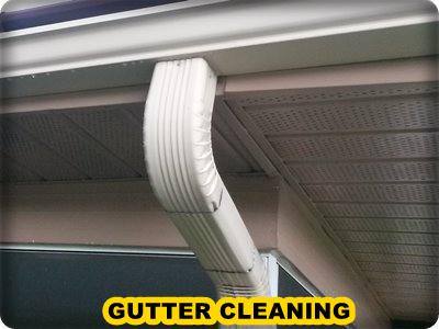gutter cleaning palm harbor 